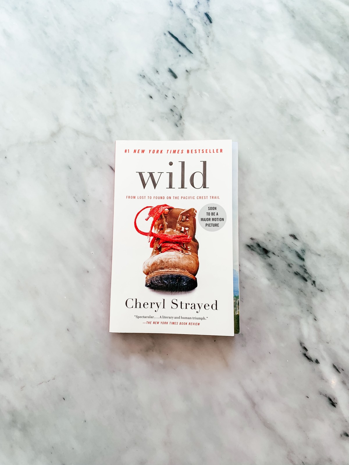 WILD by Cheryl&nbsp;Strayed⁣